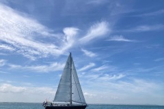 28. 2024 Bretagne, Sailbrest