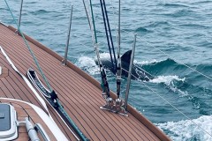 3. Zuid Engeland tussen Brighton en Cowes. Dolfijn3.1